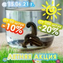 Р›Р•РўРќРЇРЇ РђРљР¦РРЇ!