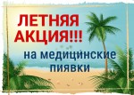 Р›Р•РўРќРЇРЇ РђРљР¦РРЇ!